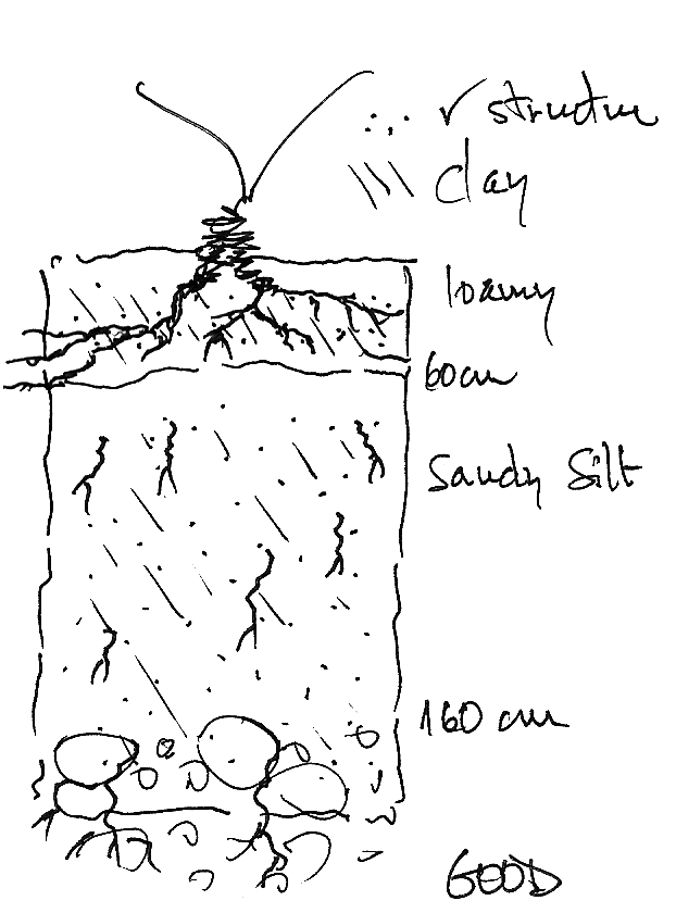 Pedro Parra Soil Profile, Altos Las Hormigas Harvest 2012, Perdriel. Mendoza, Argentina 