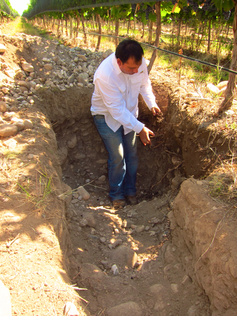 Altamira 2, Altos Las Hormigas, Harvest 2012, Pedro Parra Terroir Specialist Altamira 2, Altos Las Hormigas, Harvest 2012, Pedro Parra Terroir Specialist
