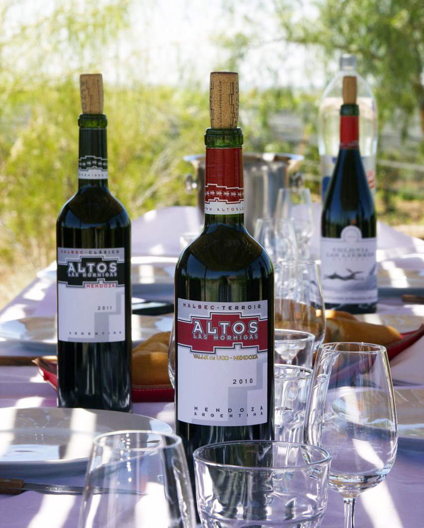 Altos Las Hormigas Wines. Harvest 2012. Mendoza, Argentina.