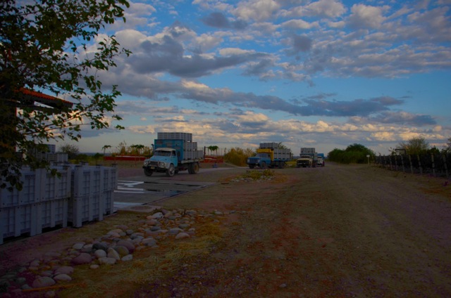 Harvest 2012, Altos Las Hormigas, Mendoza, Argentina Full Moon