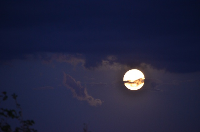 Harvest 2012, Altos Las Hormigas, Mendoza, Argentina Full Moon