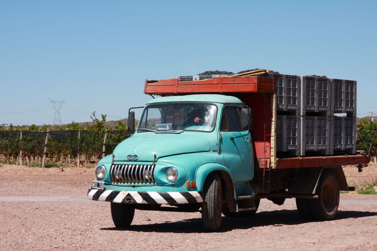 Altos Las Hormigas Harvest 2012. Mendoza, Argentina. Malbec.