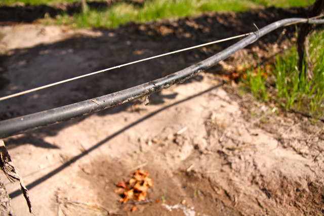 Drip Irrigation, Altos Las Hormigas, Harvest 2012, Mendoza