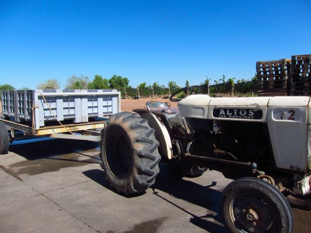 Bodega Altos Las Hormigas Harvest 2012. Mendoza, Argentina. Malbec.