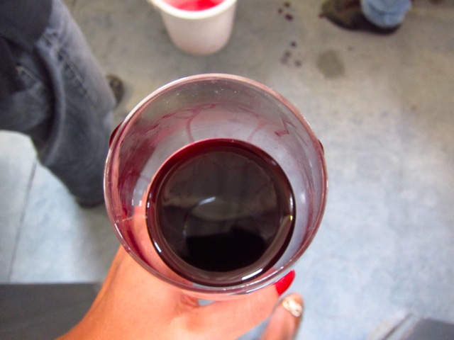 Microvinification Altos Las Hormigas Single Vineyard Malbec, Gualtallary, Tupungato