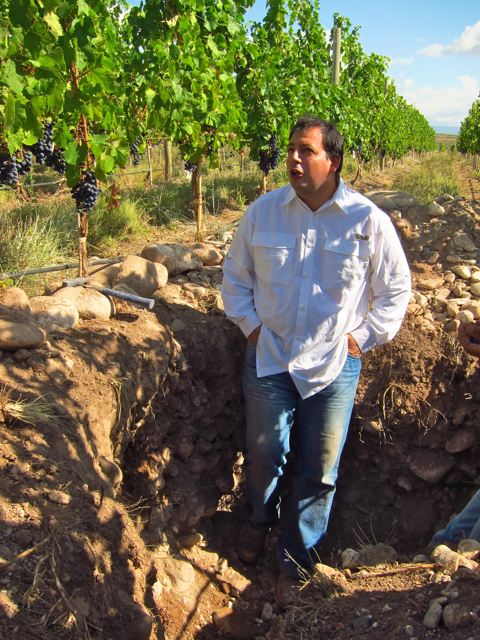 Vista Flores, Uco Valley. Altos Las Hormigas Harvest 2012, Pedro Parra Terroir Specialist Vista Flores, Uco Valley. Altos Las Hormigas Harvest 2012, Pedro Parra Terroir Specialist