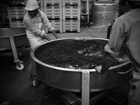 Altos Las Hormigas Harvest 2012, Mendoza, Argentina. Malbec. 