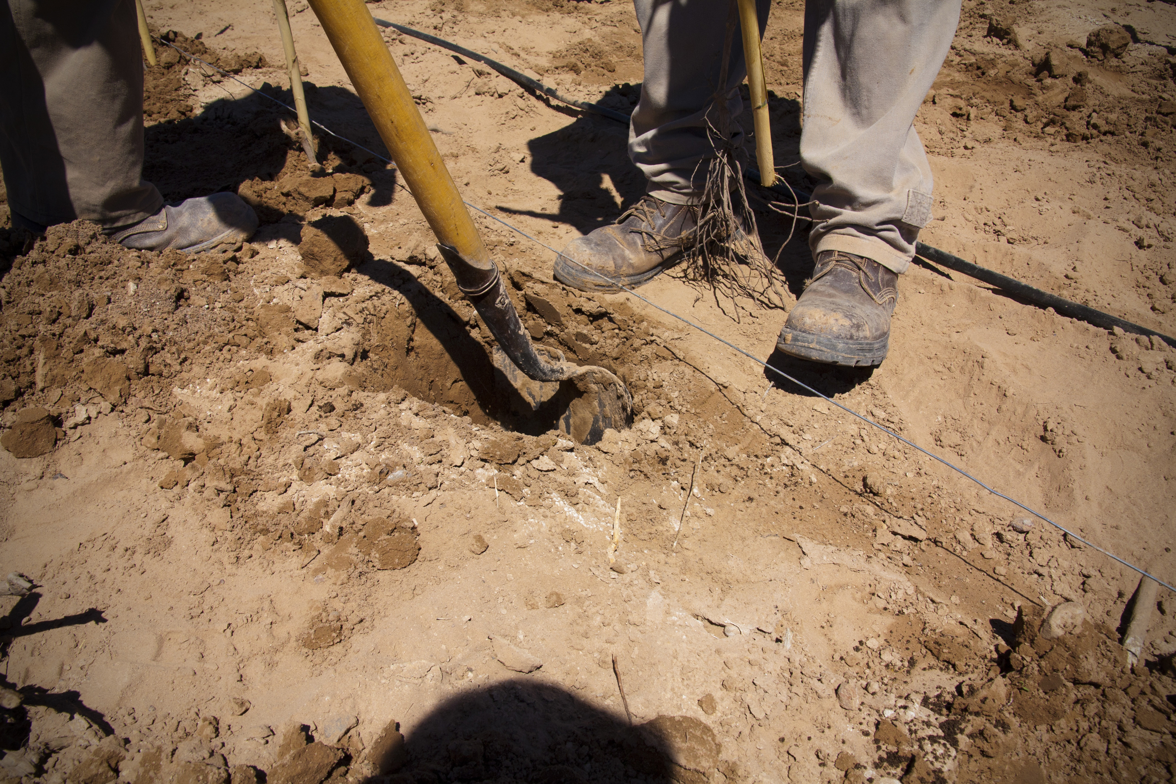 Digging a Biodynamic Vineyard, Altos Las Hormigas, Mendoza, Argentina, Terroir Wine