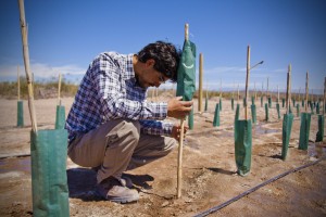 Mauricio Gonzalez, Agronomist, Planting a Biodynamic Malbec Vineyard, Bodega Altos Las Hormigas, Mendoza, Argentina Terroir Wine