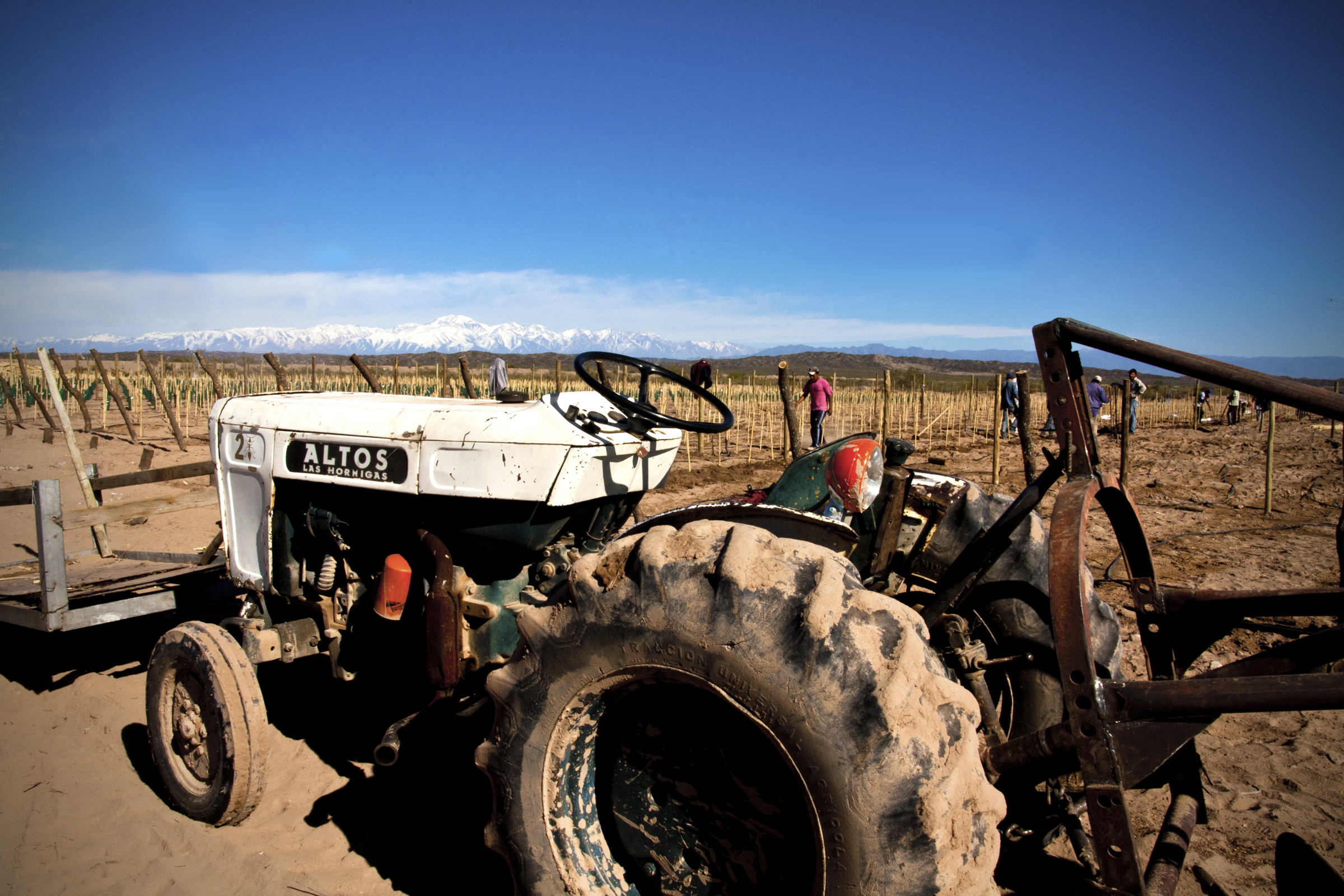Tractor, Planting a Biodynamic Malbec Vineyard, Mendoza, Argentina, Altos Las Hormigas