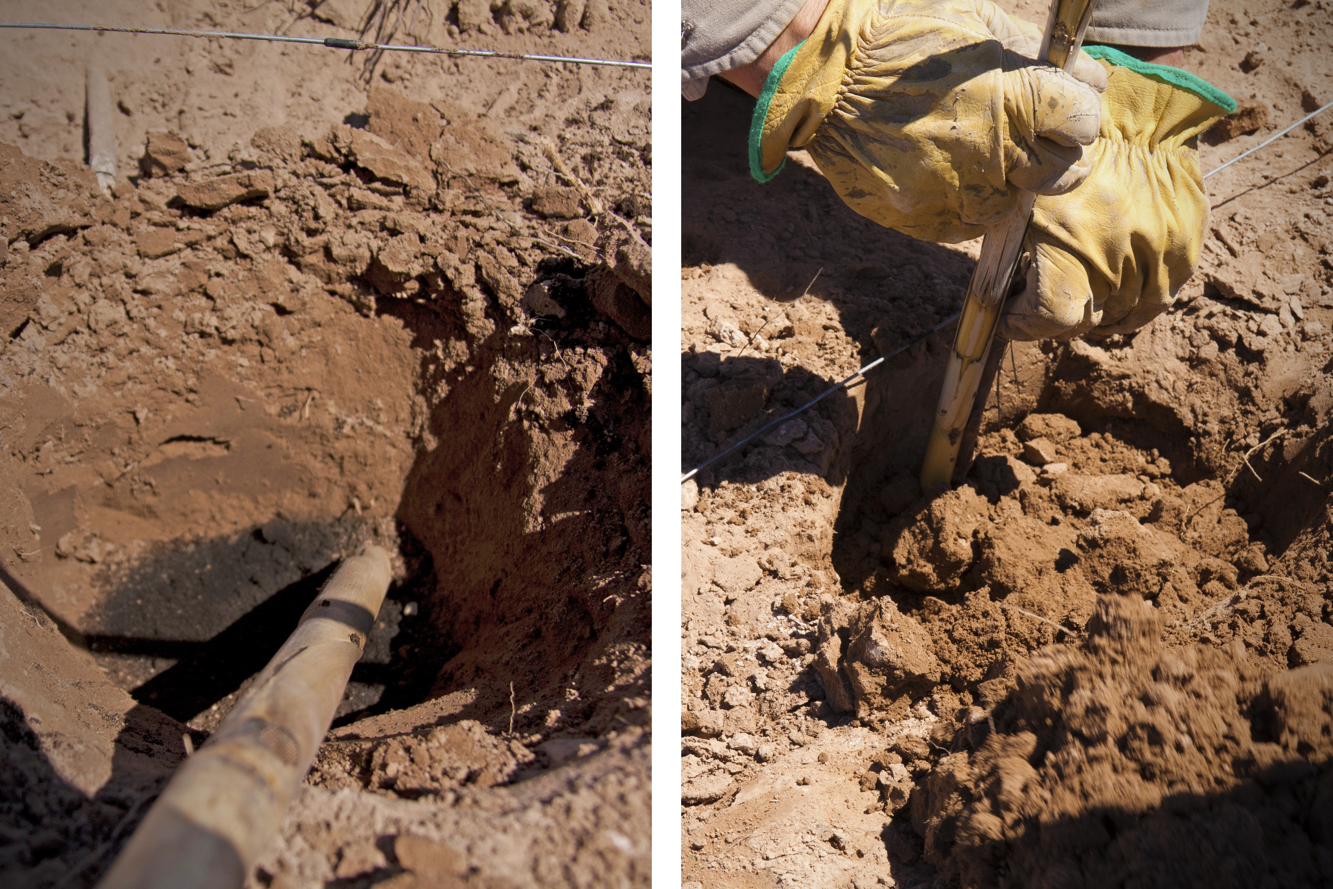 Altos Las Hormigas Planting a Biodynamic Malbec Vineyard, Mendoza, Argentina