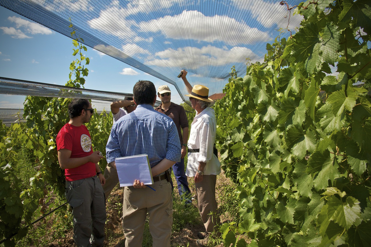 Alan York in the Altos Las Hormigas Vineyards, Mendoza, Argentina, Terroir, Biodynamic