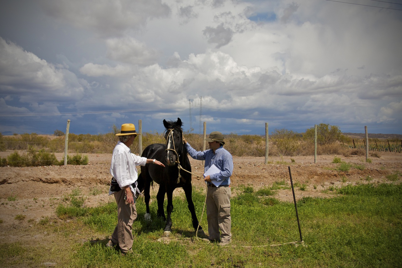 Ramiro Guiroy, Agronomist, Bodega Altos Las Hormigas, Mendoza, Argentina, Malbec Vineyards