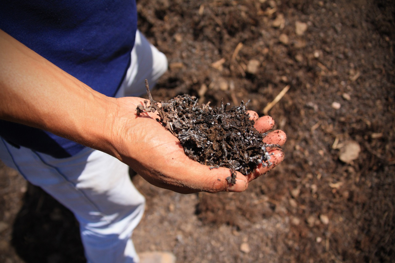 Compost Altos Las Hormgias Biodynamic Wine