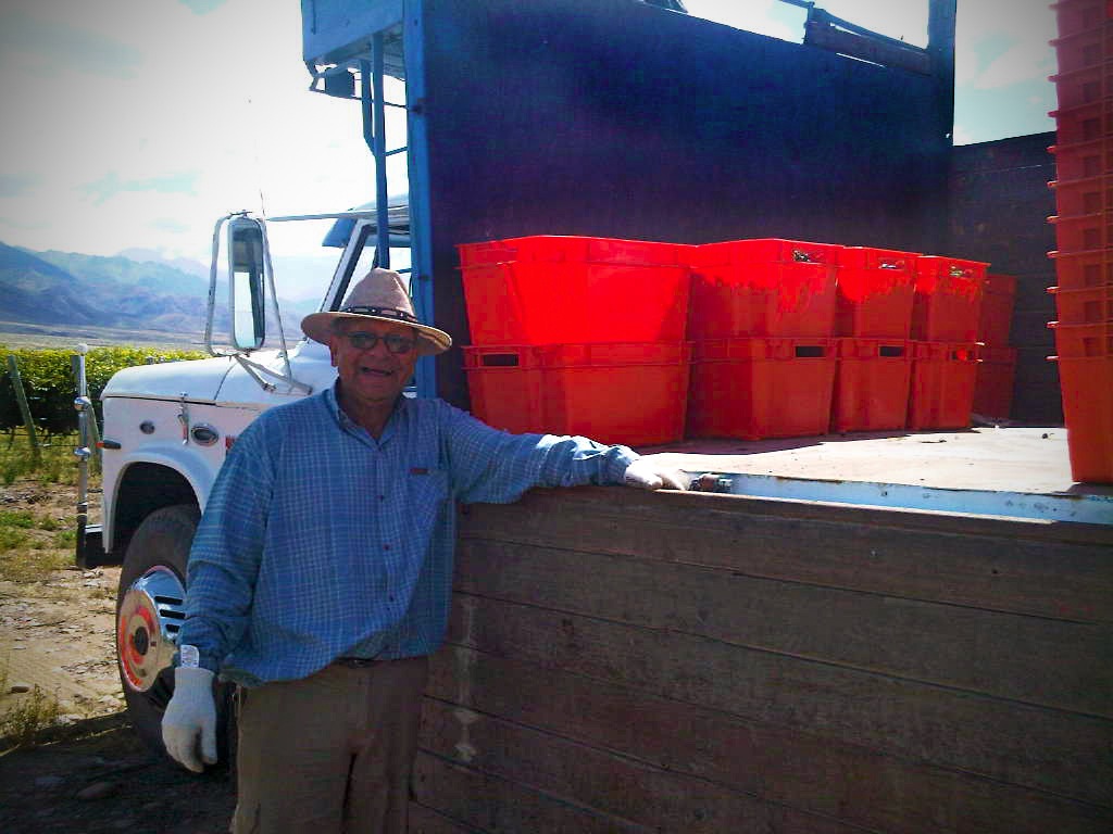 Dyonisos Vineyard, Vista Flores, Uco Valley Mendoza, Malbec Harvest 2013