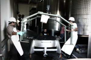 Gravity Winemaking, Altos Las Hormigas, Terroir Project, Mendoza, Argentina