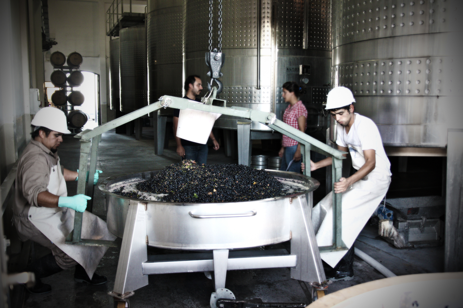 Gravity Winemaking, Altos Las Hormigas, Terroir Project, Mendoza, Argentina