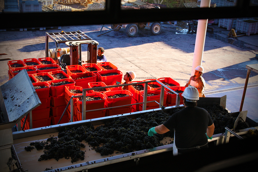 Harvest 2013, Altos Las Hormigas Malbec Reserve, Uco Valley, Mendoza Terroir