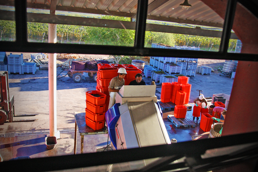 Harvest 2013, Altos Las Hormigas Malbec Reserve, Uco Valley, Mendoza Terroir