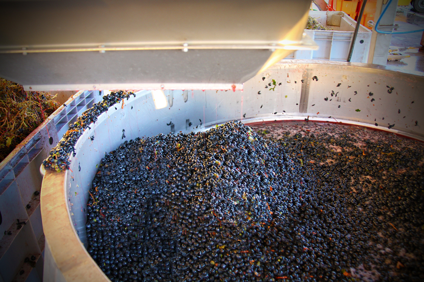 Harvest 2013, Altos Las Hormigas Malbec Reserve, Uco Valley, Mendoza Terroir