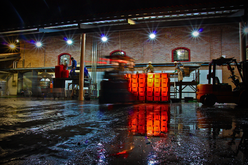 Harvest 2013, Altos Las Hormigas Malbec Reserve, Uco Valley, Mendoza Terroir