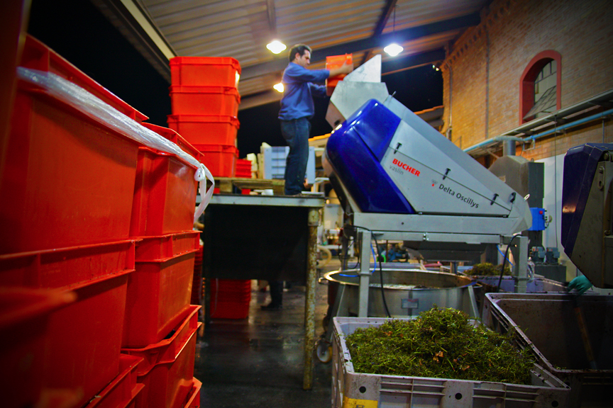 Harvest 2013, Altos Las Hormigas Malbec Reserve, Uco Valley, Mendoza Terroir