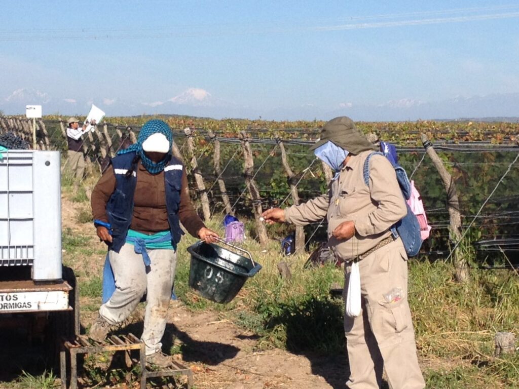 Hugo, the estate’s overseer, gives the tokens to the harvesters 