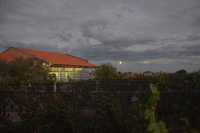 Harvest 2012, Altos Las Hormigas, Mendoza, Argentina Full Moon
