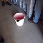 Micro-vinification of Altos Las Hormigas Single Vineyard Malbec, Ana Blanco Vineyard, Altamira, Uco Valley